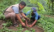 Disaster Risk Reduction Through Tree Planting 1349