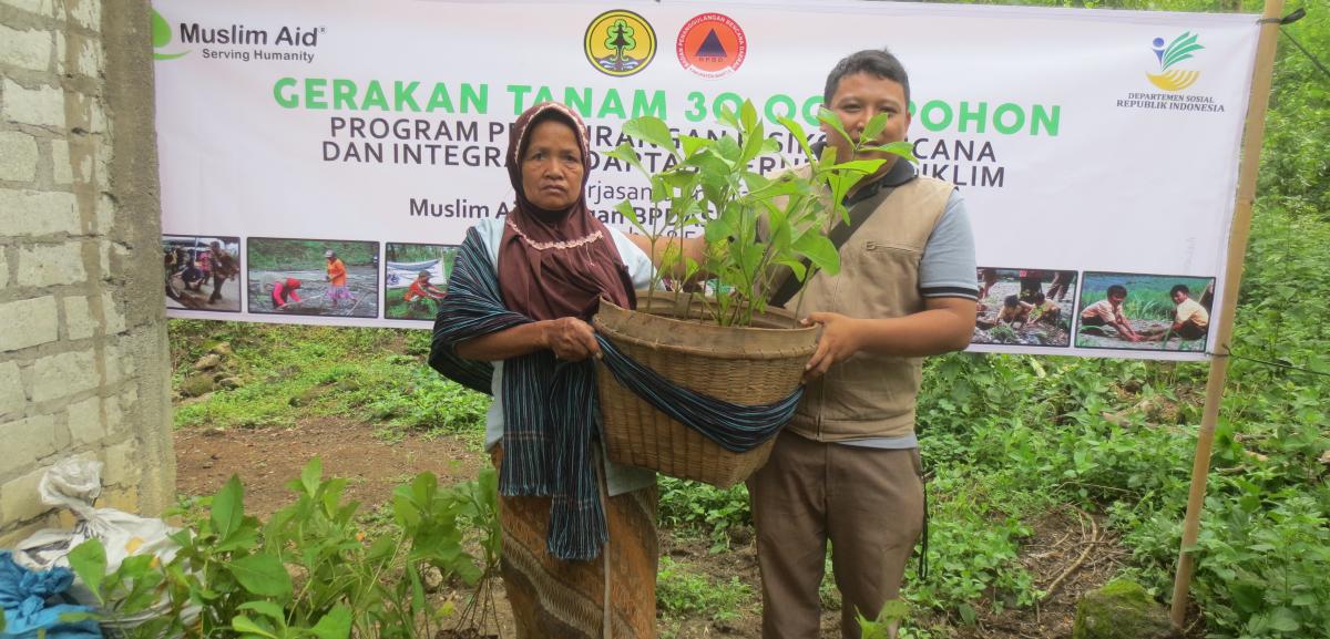 Disaster Risk Reduction Through Tree Planting 1351
