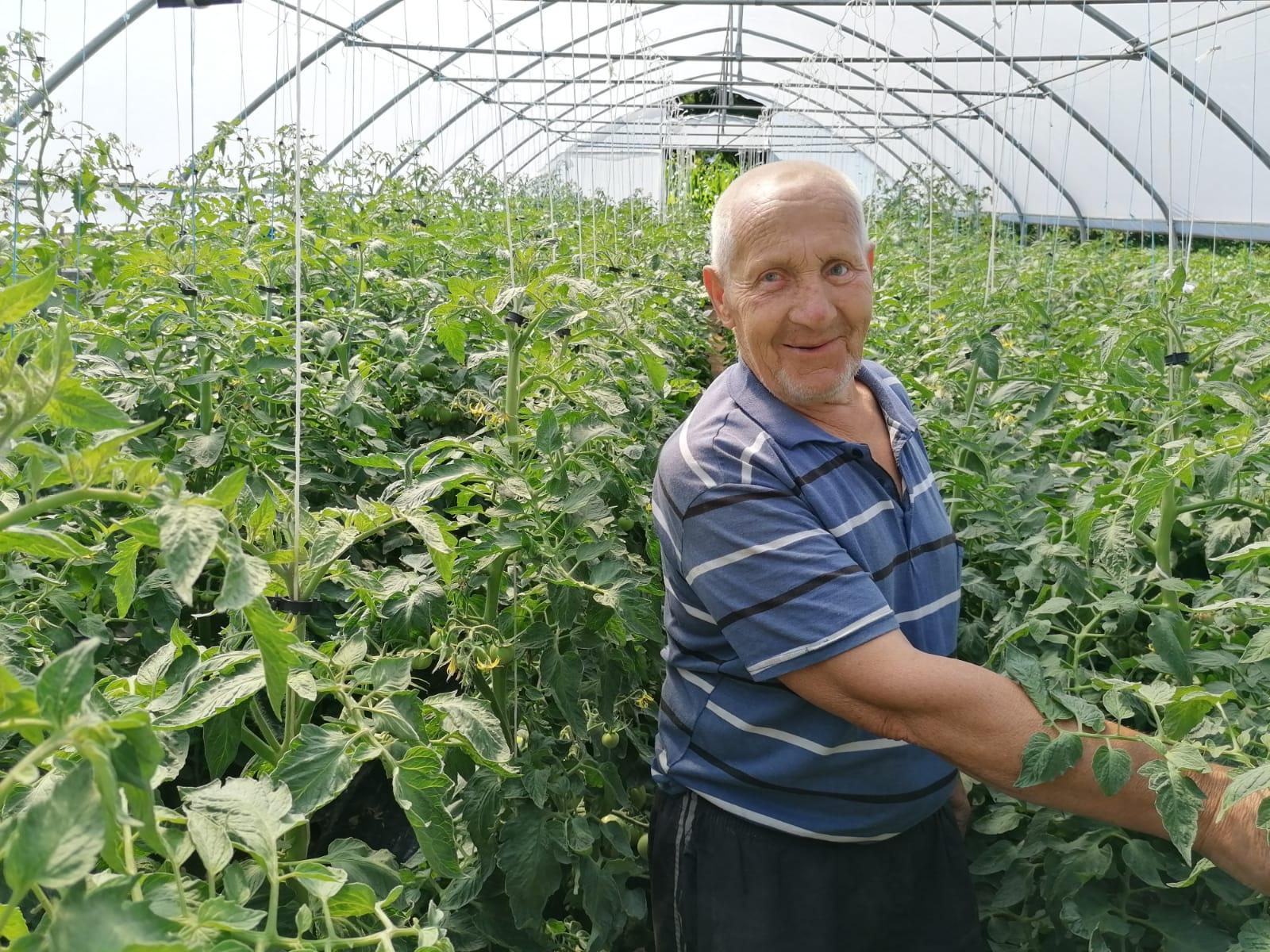Bosnia and Herzegovina - Livelihood