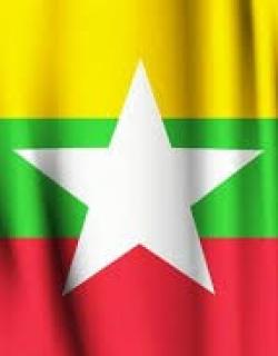 Myanmar Earthquake: aid work survivors mobilise to feed the hungry