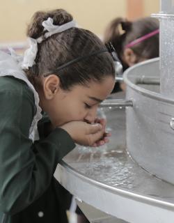 This Earth Day, Remember Palestine by Diana Alghoul 