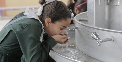 This Earth Day, Remember Palestine by Diana Alghoul 