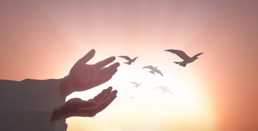 The Role of Peace in Islam
