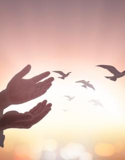The Role of Peace in Islam