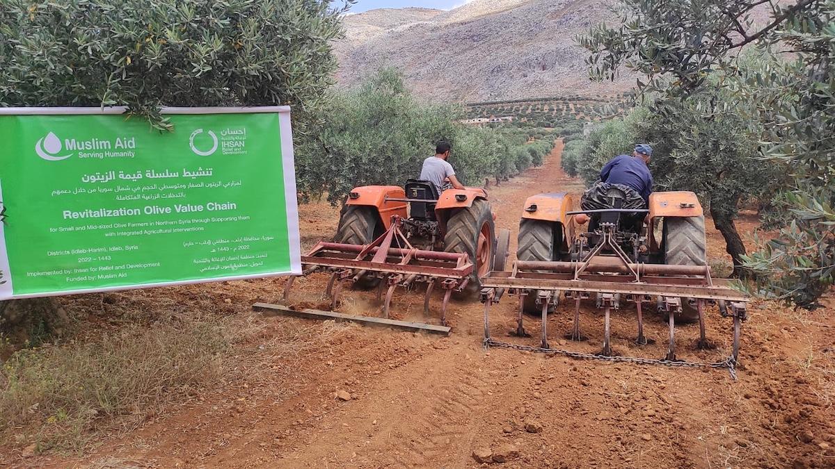 IPD Syria - Livelihoods