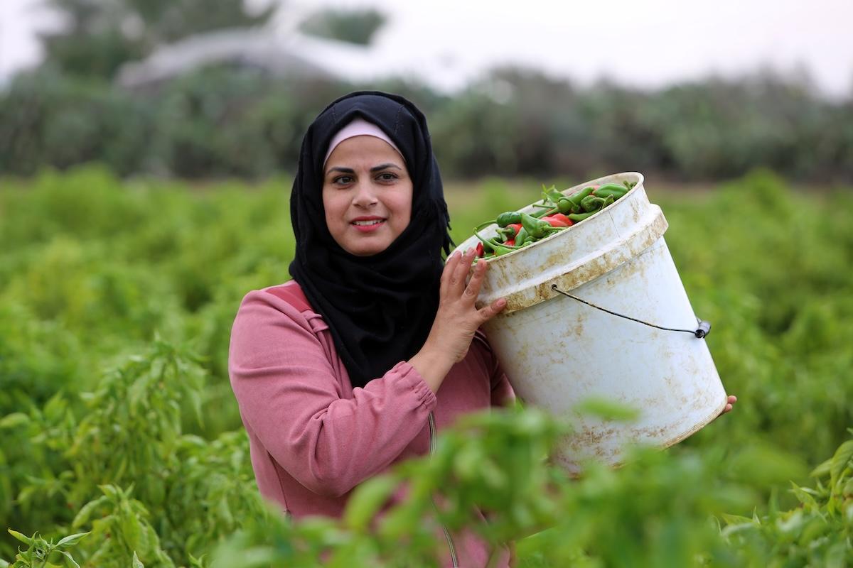 Palestine