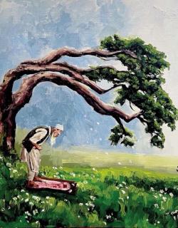 Mental Health in Islam: Prophetic Wisdom, Practical Habits, and When to Seek Help 
