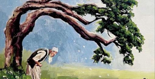 Mental Health in Islam: Prophetic Wisdom, Practical Habits, and When to Seek Help 